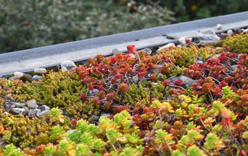 the cost of Greenfoot green roof installation