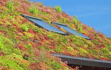 Greenfoot living roof systems