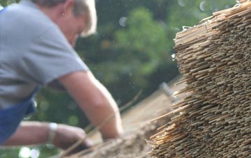 professional Greenfoot thatchers