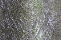 Greenfoot fibreglass roof work